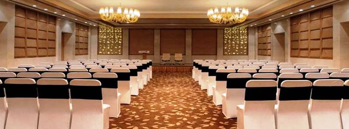 431/Radisson Blu Hotel Dwarka - New Delhi 07.jpg